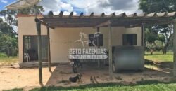 Fazenda 277 Hectares à Venda Cana de Açúcar | Varjão de Minas/MG Fazenda 277 Hectares à Venda Cana de Açúcar | Varjão de Minas/MG