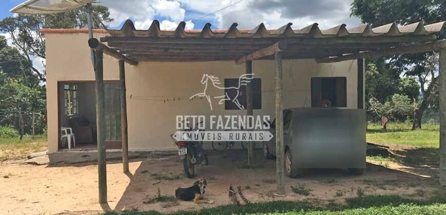 Fazenda 277 Hectares à Venda Cana de Açúcar | Varjão de Minas/MG Fazenda 277 Hectares à Venda Cana de Açúcar | Varjão de Minas/MG