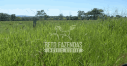 Fazenda Pecuária de 1.161 Hectares com Alto Potencial | Pontal do Araguaia/MT Fazenda Pecuária de 1.161 Hectares com Alto Potencial | Pontal do Araguaia/MT