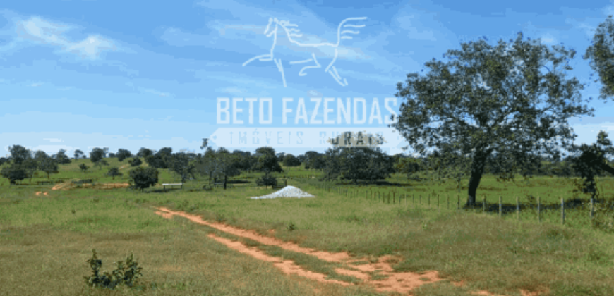 Fazenda Pecuária de 1.161 Hectares com Alto Potencial | Pontal do Araguaia/MT Fazenda Pecuária de 1.161 Hectares com Alto Potencial | Pontal do Araguaia/MT