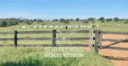 Fazenda Pecuária de 1.161 Hectares com Alto Potencial | Pontal do Araguaia/MT Fazenda Pecuária de 1.161 Hectares com Alto Potencial | Pontal do Araguaia/MT