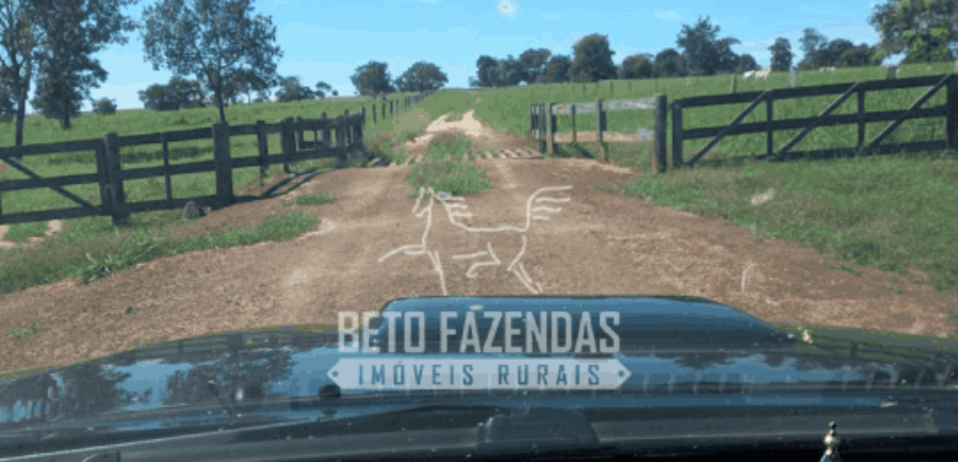 Fazenda Pecuária de 1.161 Hectares com Alto Potencial | Pontal do Araguaia/MT Fazenda Pecuária de 1.161 Hectares com Alto Potencial | Pontal do Araguaia/MT