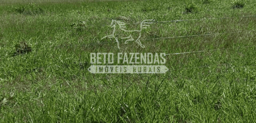 Fazenda Pecuária de 1.161 Hectares com Alto Potencial | Pontal do Araguaia/MT Fazenda Pecuária de 1.161 Hectares com Alto Potencial | Pontal do Araguaia/MT