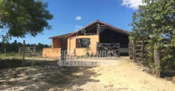 Fazenda Produtiva 52 alqs com Alto Potencial de Valorização | Araruama/RJ