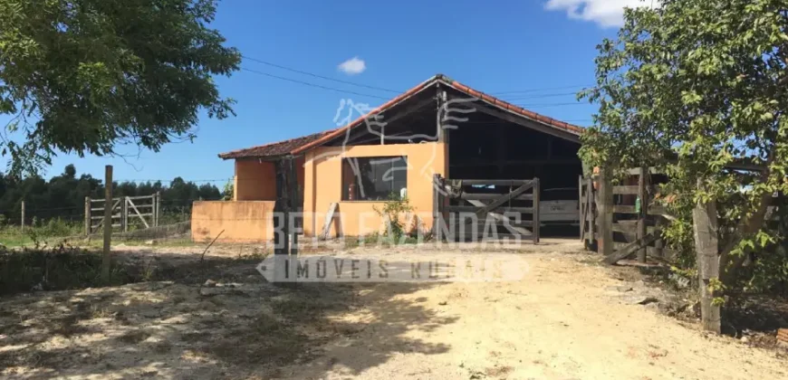 Fazenda Produtiva 52 alqs com Alto Potencial de Valorização | Araruama/RJ