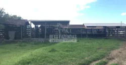 Fazenda Produtiva 52 alqs com Alto Potencial de Valorização | Araruama/RJ