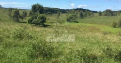 Fazenda Produtiva 52 alqs com Alto Potencial de Valorização | Araruama/RJ