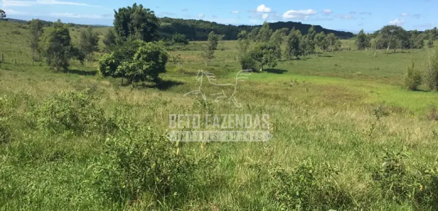 Fazenda Produtiva 52 alqs com Alto Potencial de Valorização | Araruama/RJ