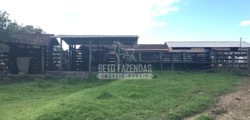 Fazenda Produtiva 52 alqs com Alto Potencial de Valorização | Araruama/RJ