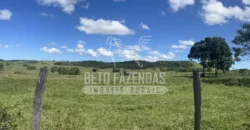 Fazenda Produtiva 52 alqs com Alto Potencial de Valorização | Araruama/RJ