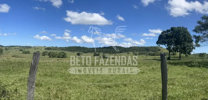 Fazenda Produtiva 52 alqs com Alto Potencial de Valorização | Araruama/RJ