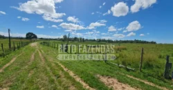 Fazenda Produtiva 52 alqs com Alto Potencial de Valorização | Araruama/RJ