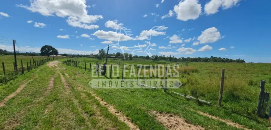 Fazenda Produtiva 52 alqs com Alto Potencial de Valorização | Araruama/RJ