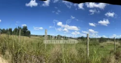 Fazenda Produtiva 52 alqs com Alto Potencial de Valorização | Araruama/RJ