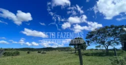 Fazenda Produtiva 52 alqs com Alto Potencial de Valorização | Araruama/RJ