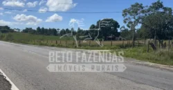 Fazenda Produtiva 52 alqs com Alto Potencial de Valorização | Araruama/RJ
