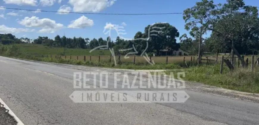 Fazenda Produtiva 52 alqs com Alto Potencial de Valorização | Araruama/RJ
