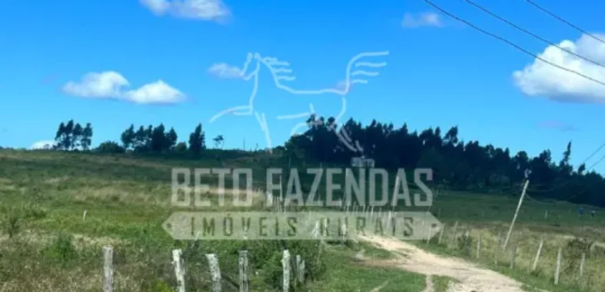 Fazenda Produtiva 52 alqs com Alto Potencial de Valorização | Araruama/RJ