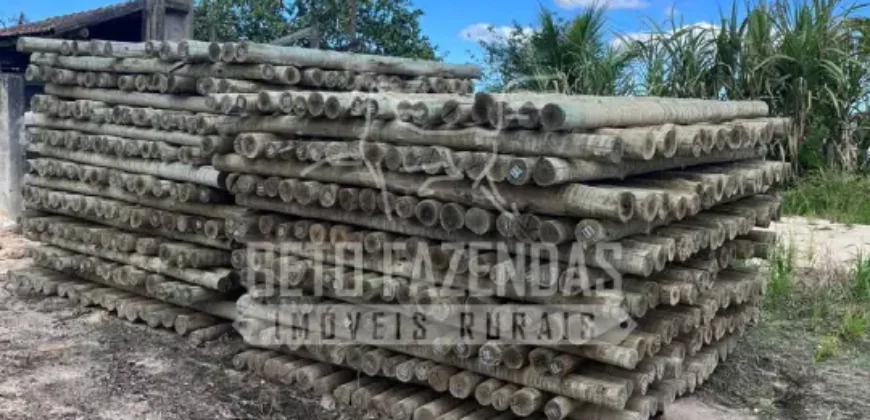 Fazenda Produtiva 52 alqs com Alto Potencial de Valorização | Araruama/RJ