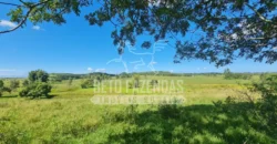 Fazenda Produtiva 52 alqs com Alto Potencial de Valorização | Araruama/RJ