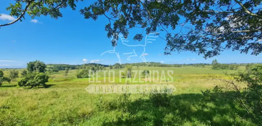 Fazenda Produtiva 52 alqs com Alto Potencial de Valorização | Araruama/RJ