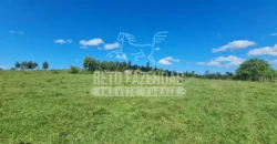 Fazenda Produtiva 52 alqs com Alto Potencial de Valorização | Araruama/RJ