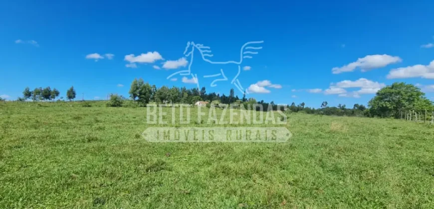 Fazenda Produtiva 52 alqs com Alto Potencial de Valorização | Araruama/RJ