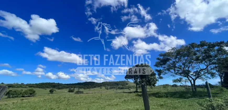 Fazenda Produtiva 52 alqs com Alto Potencial de Valorização | Araruama/RJ