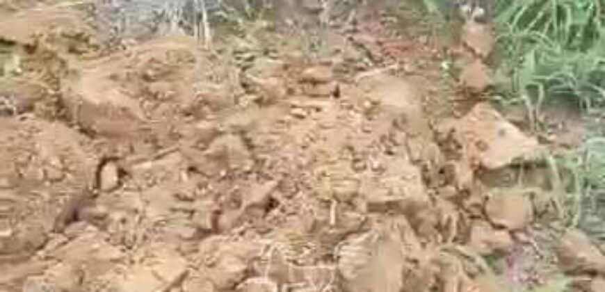 Fazenda à Venda 33.880 Hectares Infraestrutura Completa Linda Casa Sede | Cocalinho/ MT Fazenda à Venda 33.880 Hectares Infraestrutura Completa Linda Casa Sede | Cocalinho/ MT