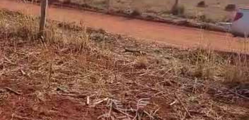 Fazenda à Venda 33.880 Hectares Infraestrutura Completa Linda Casa Sede | Cocalinho/ MT Fazenda à Venda 33.880 Hectares Infraestrutura Completa Linda Casa Sede | Cocalinho/ MT