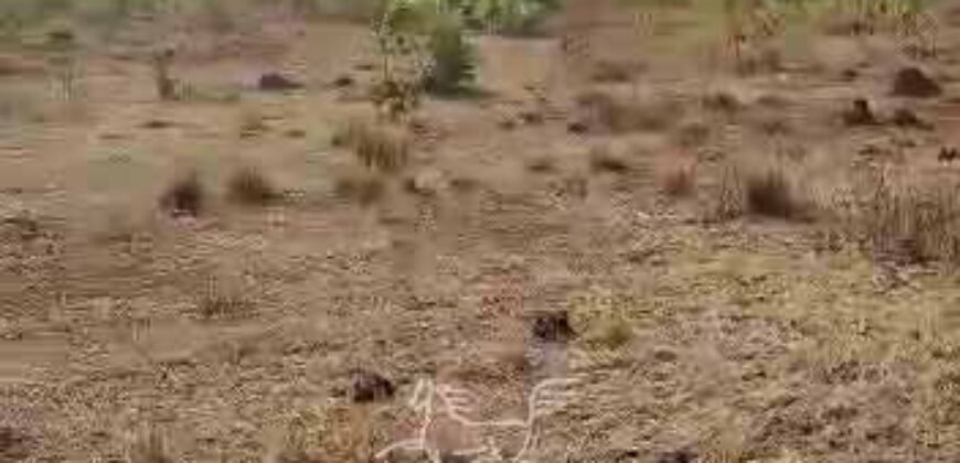 Fazenda à Venda 33.880 Hectares Infraestrutura Completa Linda Casa Sede | Cocalinho/ MT Fazenda à Venda 33.880 Hectares Infraestrutura Completa Linda Casa Sede | Cocalinho/ MT