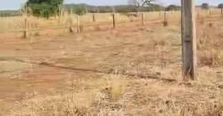 Fazenda à Venda 33.880 Hectares Infraestrutura Completa Linda Casa Sede | Cocalinho/ MT Fazenda à Venda 33.880 Hectares Infraestrutura Completa Linda Casa Sede | Cocalinho/ MT