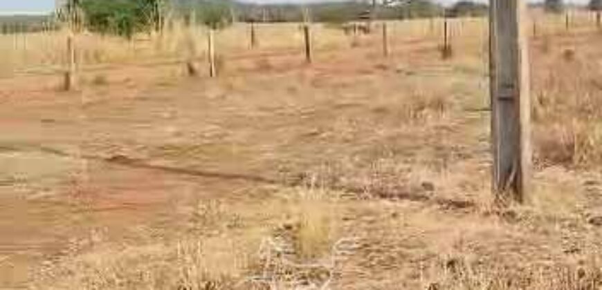 Fazenda à Venda 33.880 Hectares Infraestrutura Completa Linda Casa Sede | Cocalinho/ MT Fazenda à Venda 33.880 Hectares Infraestrutura Completa Linda Casa Sede | Cocalinho/ MT