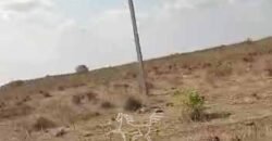 Fazenda à Venda 33.880 Hectares Infraestrutura Completa Linda Casa Sede | Cocalinho/ MT Fazenda à Venda 33.880 Hectares Infraestrutura Completa Linda Casa Sede | Cocalinho/ MT