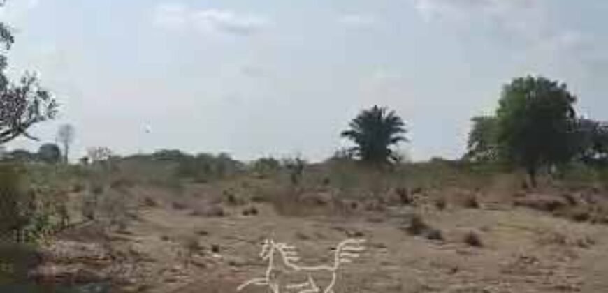 Fazenda à Venda 33.880 Hectares Infraestrutura Completa Linda Casa Sede | Cocalinho/ MT Fazenda à Venda 33.880 Hectares Infraestrutura Completa Linda Casa Sede | Cocalinho/ MT