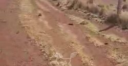 Fazenda à Venda 33.880 Hectares Infraestrutura Completa Linda Casa Sede | Cocalinho/ MT Fazenda à Venda 33.880 Hectares Infraestrutura Completa Linda Casa Sede | Cocalinho/ MT