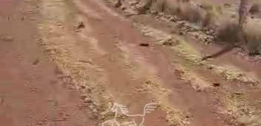 Fazenda à Venda 33.880 Hectares Infraestrutura Completa Linda Casa Sede | Cocalinho/ MT Fazenda à Venda 33.880 Hectares Infraestrutura Completa Linda Casa Sede | Cocalinho/ MT