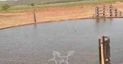 Fazenda à Venda 33.880 Hectares Infraestrutura Completa Linda Casa Sede | Cocalinho/ MT Fazenda à Venda 33.880 Hectares Infraestrutura Completa Linda Casa Sede | Cocalinho/ MT