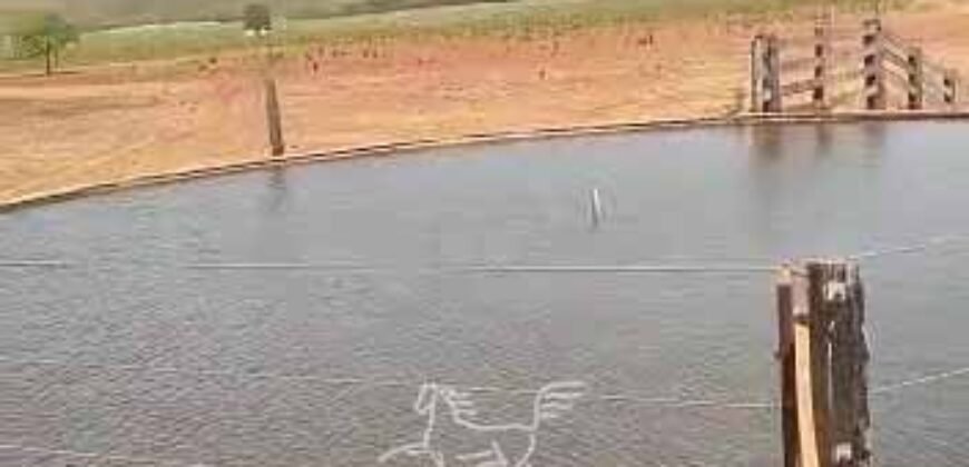 Fazenda à Venda 33.880 Hectares Infraestrutura Completa Linda Casa Sede | Cocalinho/ MT Fazenda à Venda 33.880 Hectares Infraestrutura Completa Linda Casa Sede | Cocalinho/ MT