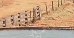 Fazenda à Venda 33.880 Hectares Infraestrutura Completa Linda Casa Sede | Cocalinho/ MT Fazenda à Venda 33.880 Hectares Infraestrutura Completa Linda Casa Sede | Cocalinho/ MT