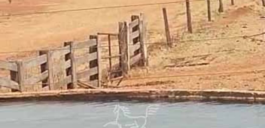 Fazenda à Venda 33.880 Hectares Infraestrutura Completa Linda Casa Sede | Cocalinho/ MT Fazenda à Venda 33.880 Hectares Infraestrutura Completa Linda Casa Sede | Cocalinho/ MT