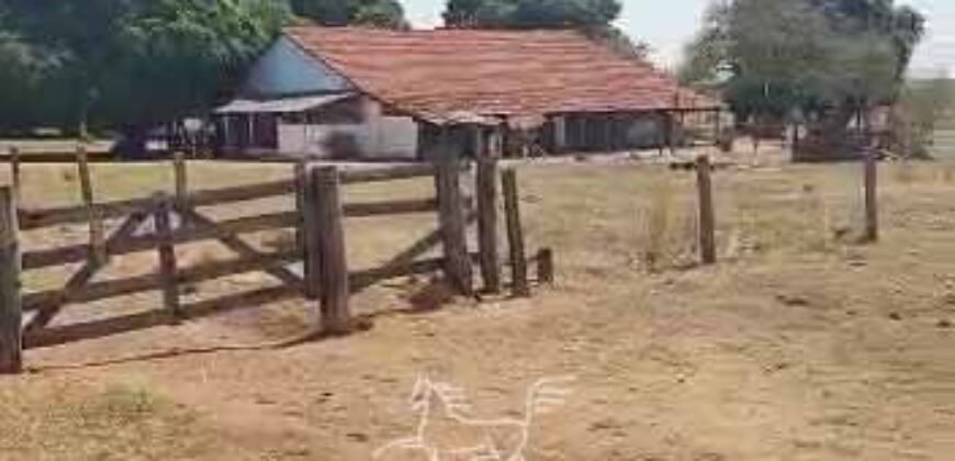 Fazenda à Venda 33.880 Hectares Infraestrutura Completa Linda Casa Sede | Cocalinho/ MT Fazenda à Venda 33.880 Hectares Infraestrutura Completa Linda Casa Sede | Cocalinho/ MT