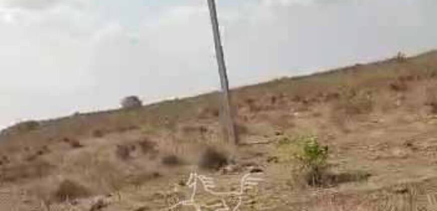 Fazenda à Venda 33.880 Hectares Infraestrutura Completa Linda Casa Sede | Cocalinho/ MT Fazenda à Venda 33.880 Hectares Infraestrutura Completa Linda Casa Sede | Cocalinho/ MT