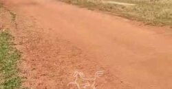 Fazenda à Venda 33.880 Hectares Infraestrutura Completa Linda Casa Sede | Cocalinho/ MT Fazenda à Venda 33.880 Hectares Infraestrutura Completa Linda Casa Sede | Cocalinho/ MT