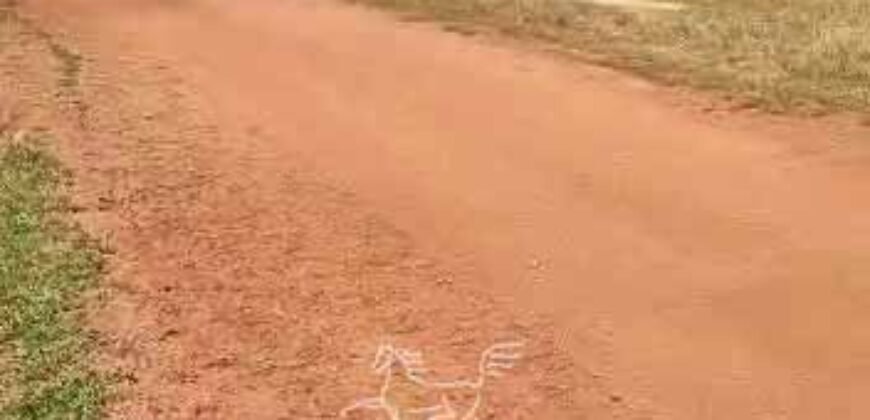 Fazenda à Venda 33.880 Hectares Infraestrutura Completa Linda Casa Sede | Cocalinho/ MT Fazenda à Venda 33.880 Hectares Infraestrutura Completa Linda Casa Sede | Cocalinho/ MT