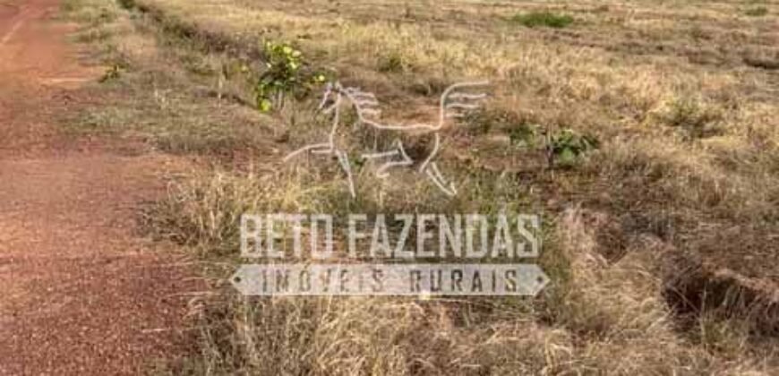 Área Agrícola Extensa e Produtiva à Venda 2.190 hectares | Serra Nova Dourada/MT Área Agrícola Extensa e Produtiva à Venda 2.190 hectares | Serra Nova Dourada/MT