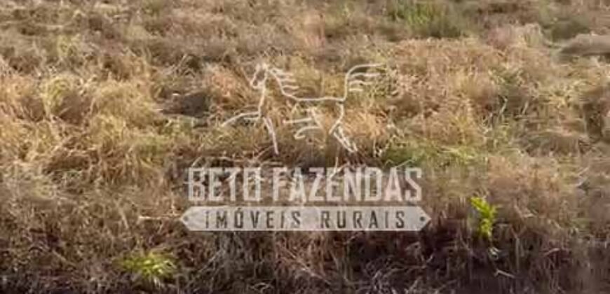 Área Agrícola Extensa e Produtiva à Venda 2.190 hectares | Serra Nova Dourada/MT Área Agrícola Extensa e Produtiva à Venda 2.190 hectares | Serra Nova Dourada/MT