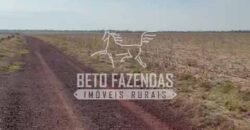 Área Agrícola Extensa e Produtiva à Venda 2.190 hectares | Serra Nova Dourada/MT Área Agrícola Extensa e Produtiva à Venda 2.190 hectares | Serra Nova Dourada/MT