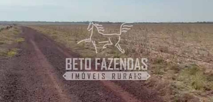 Área Agrícola Extensa e Produtiva à Venda 2.190 hectares | Serra Nova Dourada/MT Área Agrícola Extensa e Produtiva à Venda 2.190 hectares | Serra Nova Dourada/MT