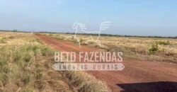 Área Agrícola Extensa e Produtiva à Venda 2.190 hectares | Serra Nova Dourada/MT Área Agrícola Extensa e Produtiva à Venda 2.190 hectares | Serra Nova Dourada/MT